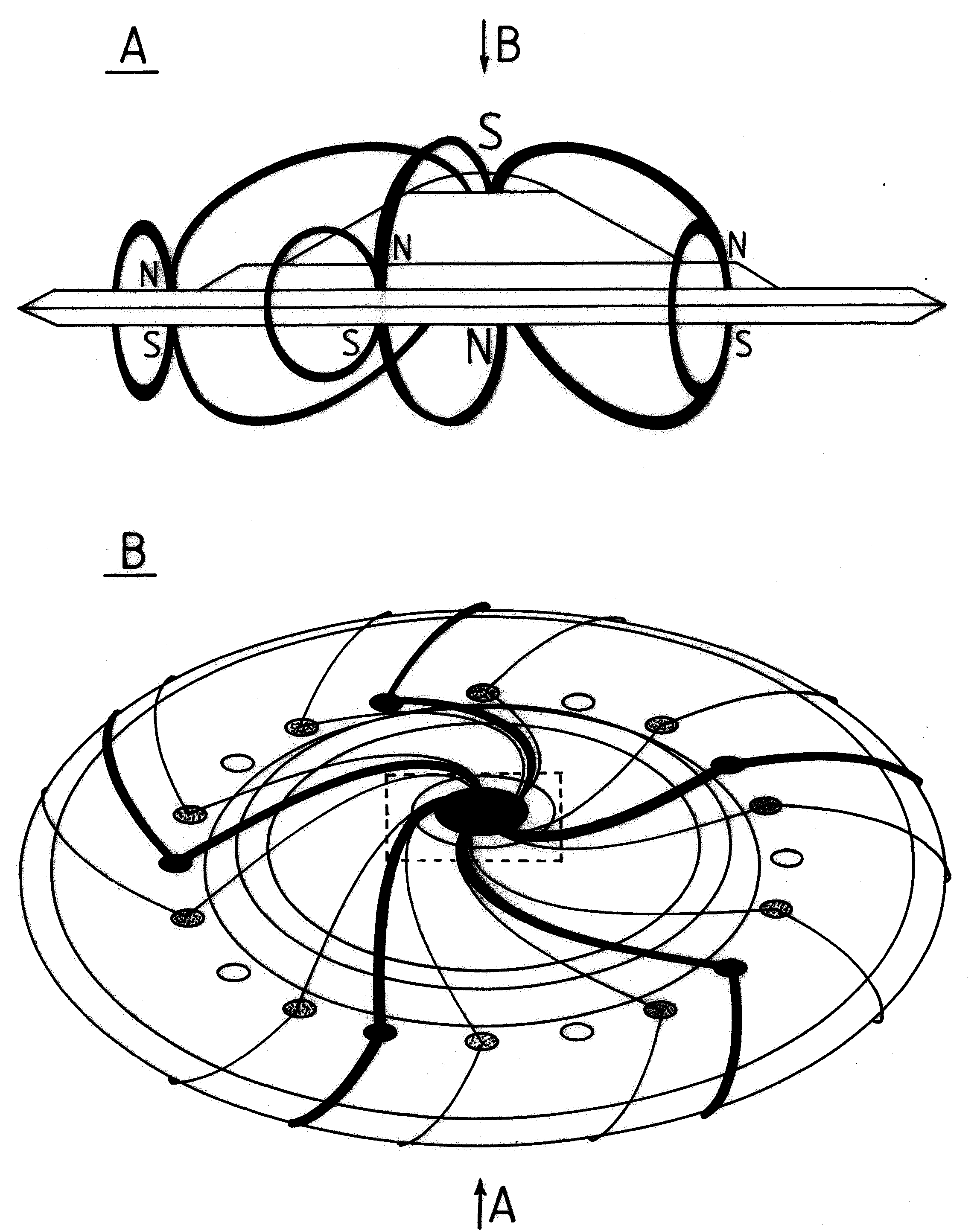 Fig./Rys. P19(ab) in/w [1/4]